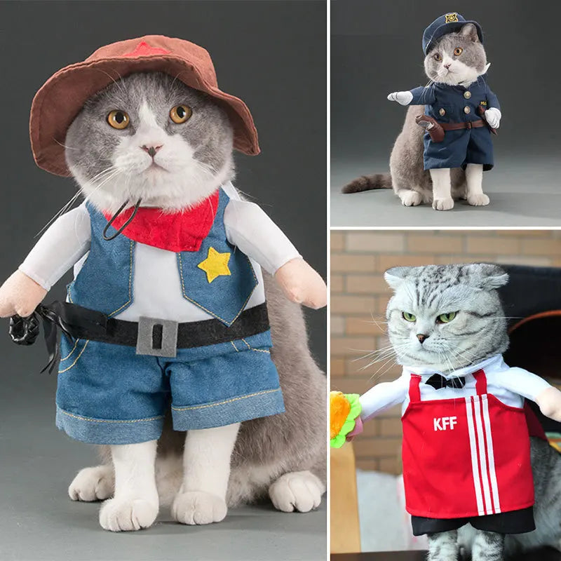 Pet costume. Funny Pet Costumes